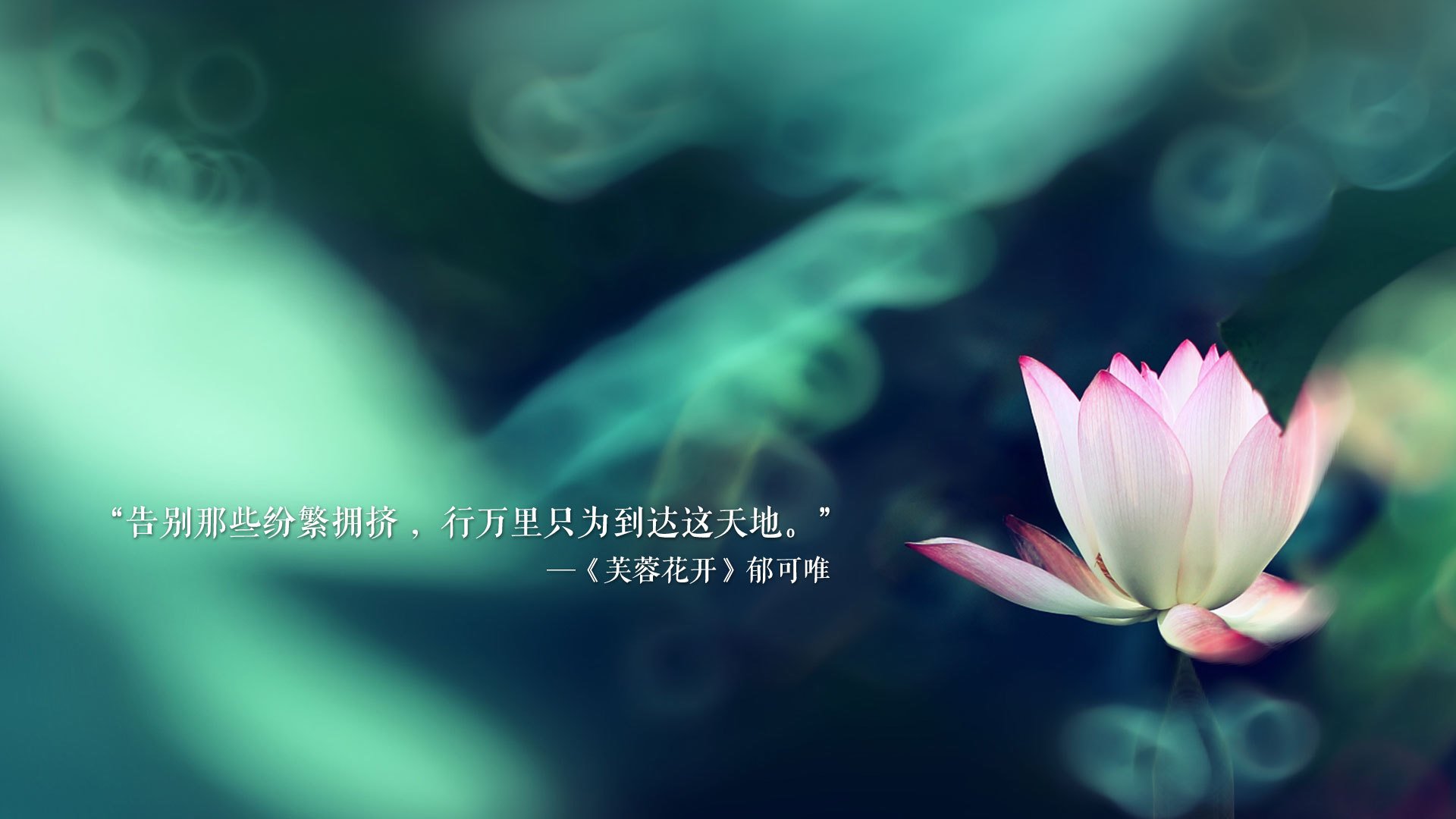 “西甲明星竞技状态火热，比赛精彩纷呈”，西甲足球明星