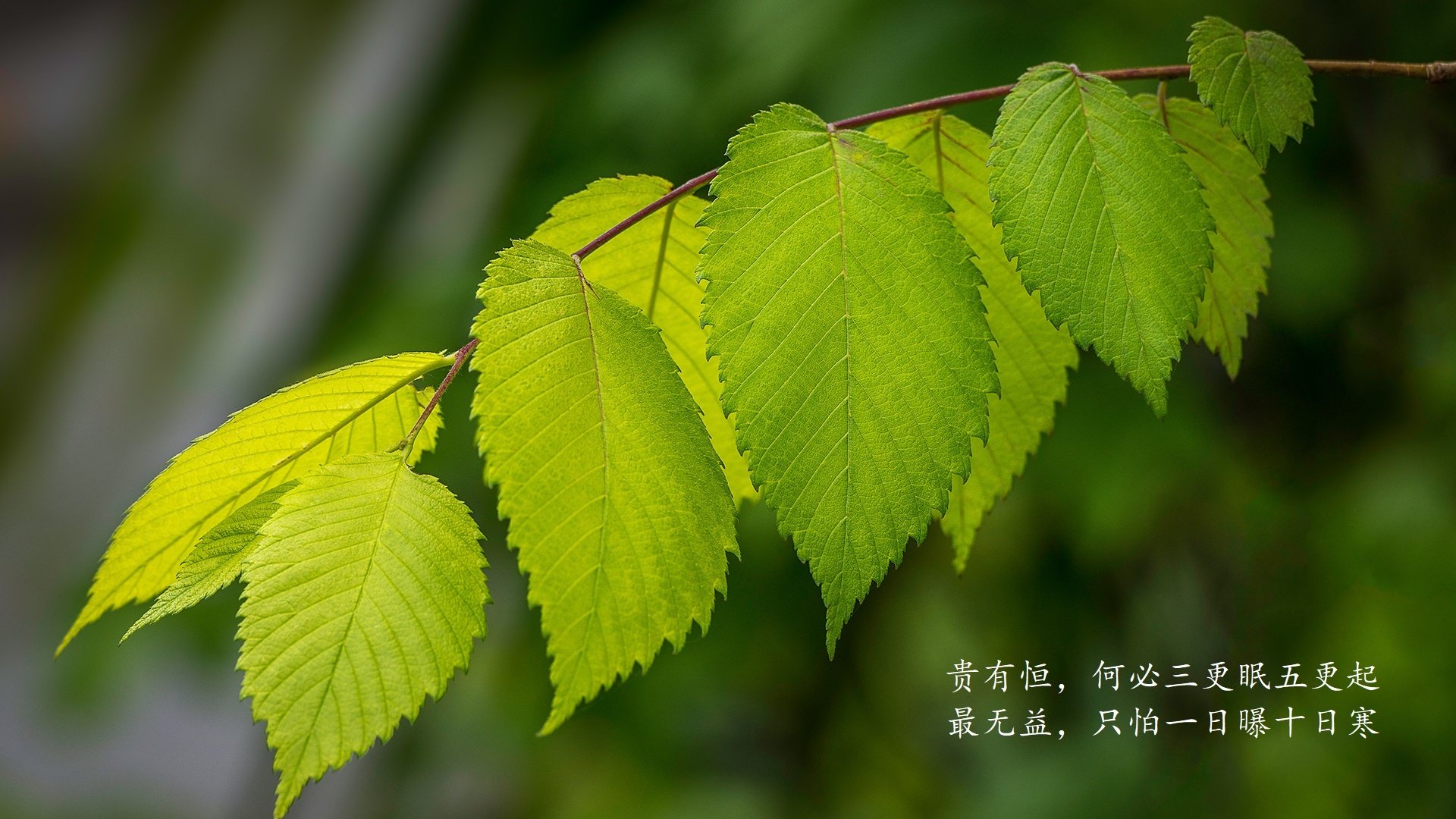 《虚拟现实中激战：电竞体验的未来方向》，虚拟现实战剧情