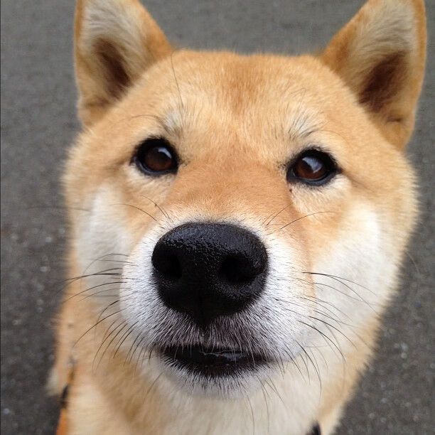 国际足联专家来华考察中国足球发展新政策,国际足联专家来华考察中国足球发展新政策了吗