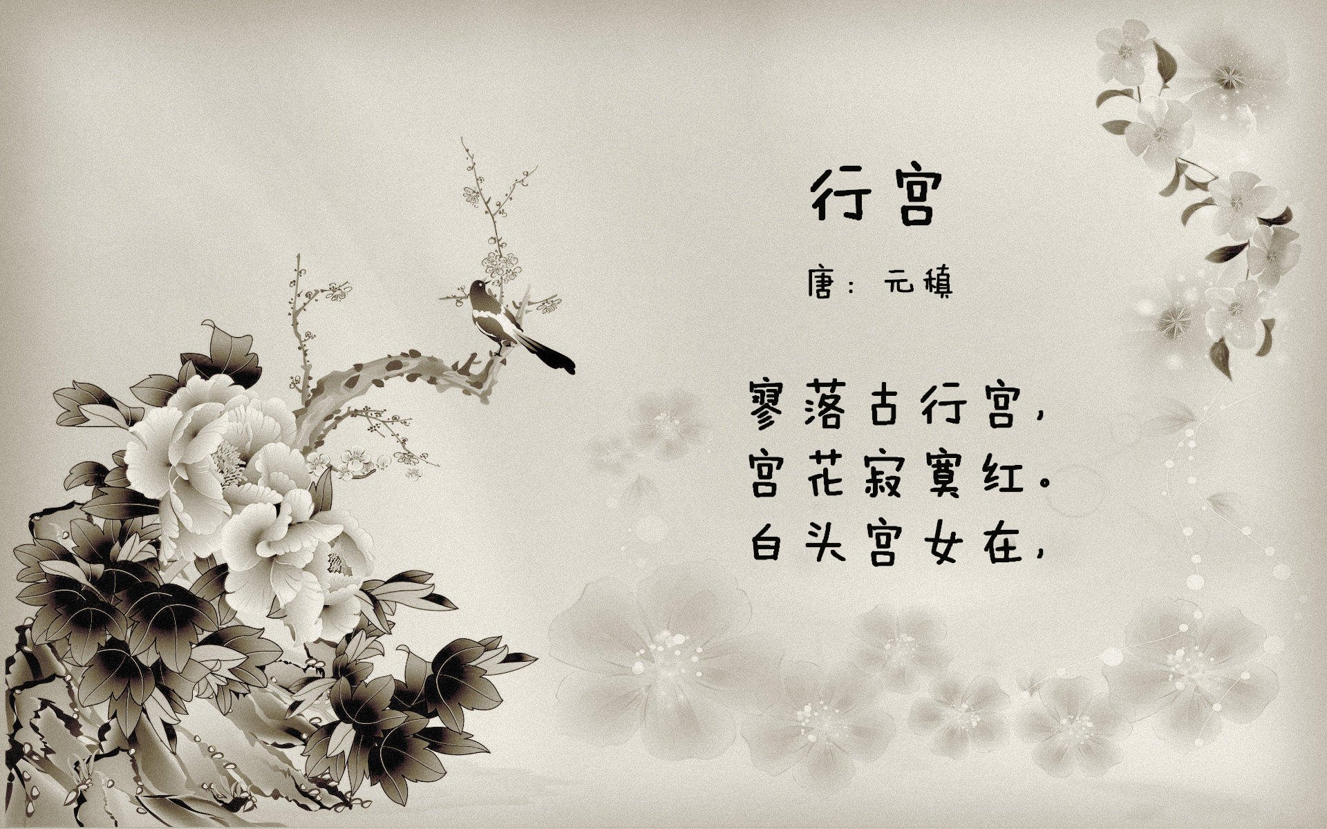 退役球星的慈善事业，用篮球改变生命，退役球星nba