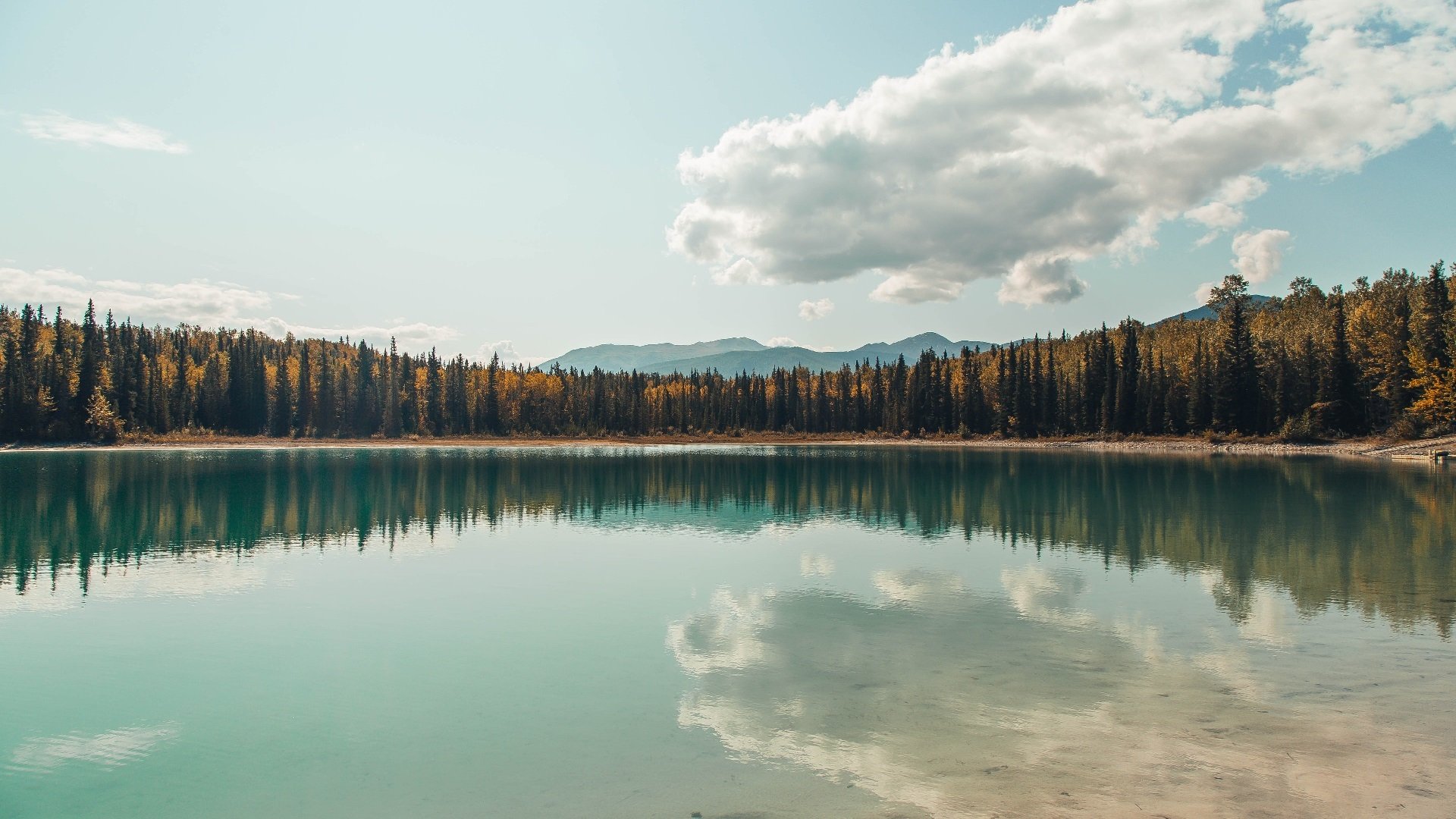 开云·Kaiyun网页版-欧国联比赛：摩尔多瓦队击败斯洛伐克队，摩尔多瓦对法罗群岛比分