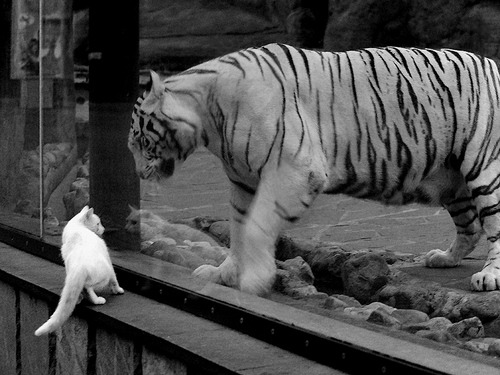 波兰险胜苏格兰，晋级淘汰赛资格在望，波兰落选赛