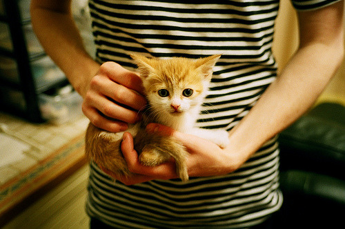 开云官网APP下载-湖人大胜勇士，常规赛中詹姆斯砍下三双统治全场，湖人将对战勇士詹姆斯