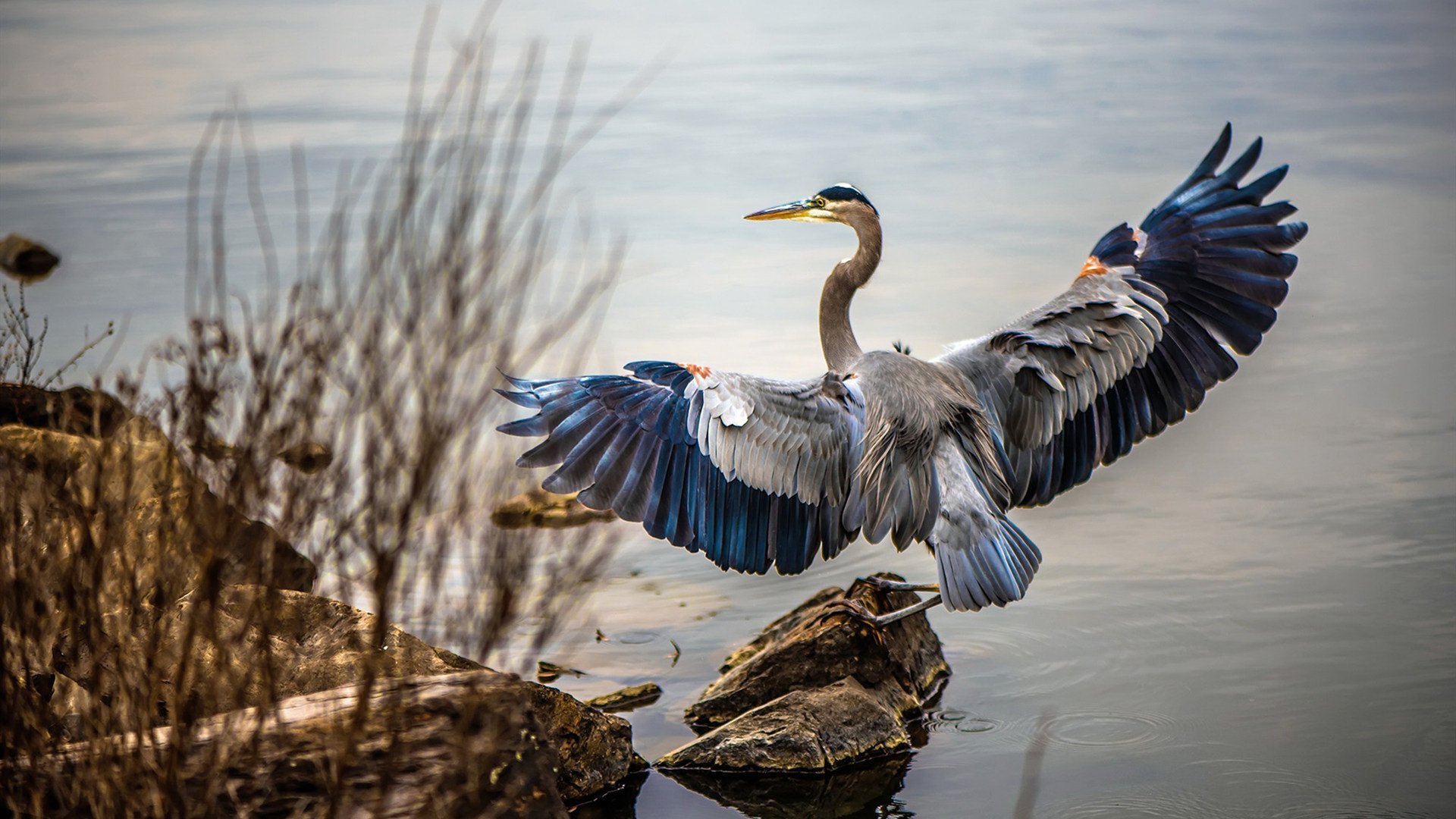 KAIYUN 中国大陆-皇家马德里新援表现不佳，或将被迫坐板凳，皇家马德里近况