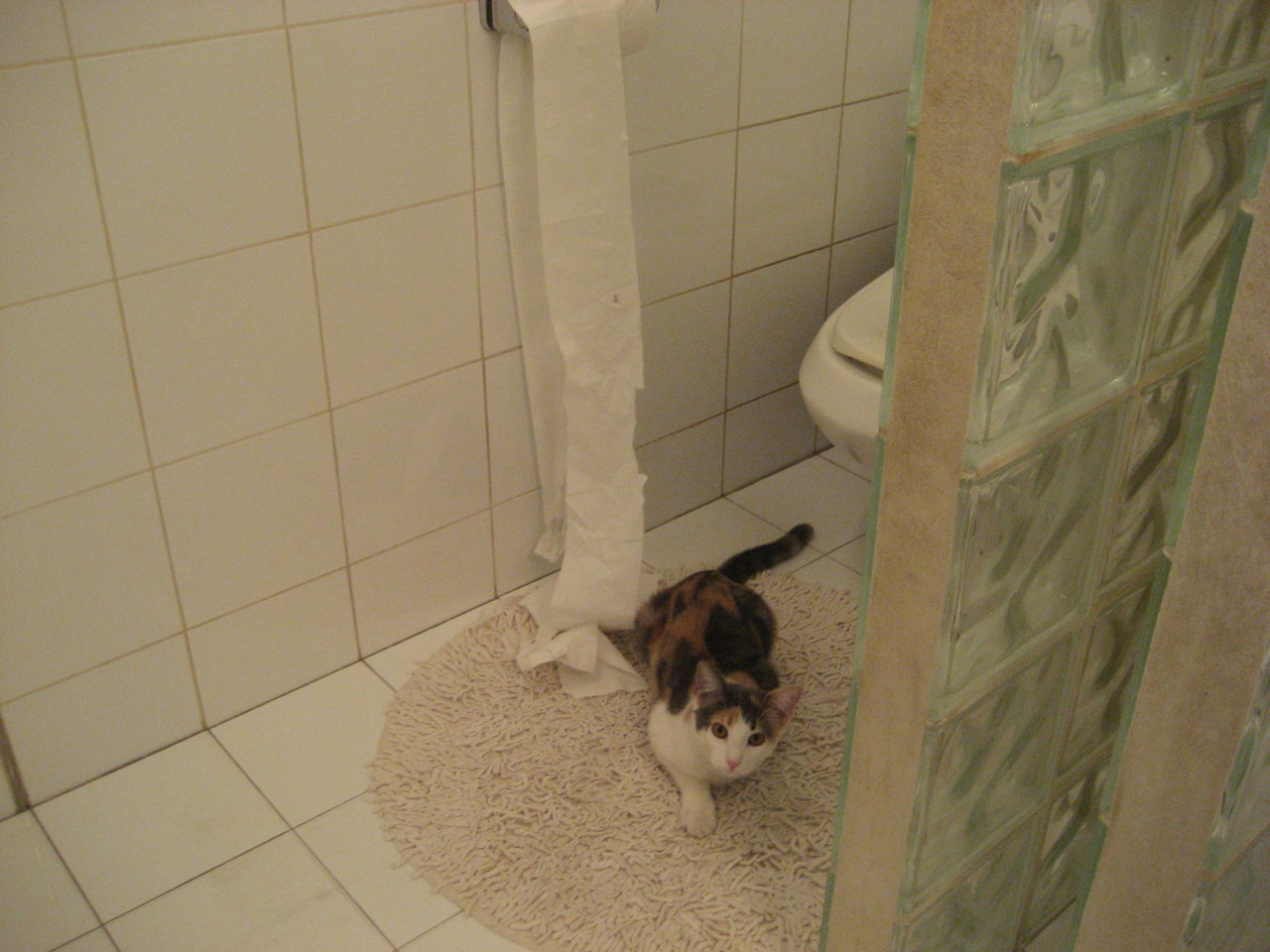 莱比锡主场3-1战胜霍芬海姆，积分榜上升，莱比锡对霍芬海姆预测