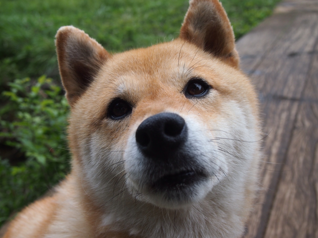 首尔SK骑士防守端抢断次数增加，韩国sk骑士队什么水平