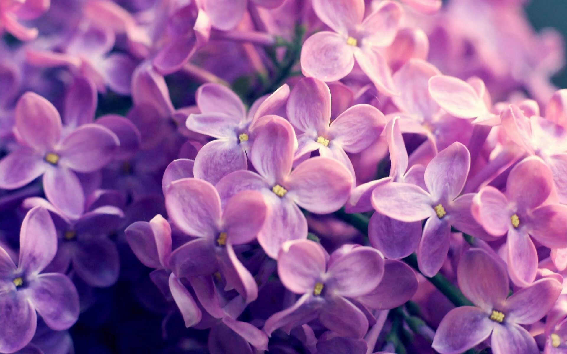 摩洛哥骑手吉塔·日特科维奇荣获2024年最佳障碍赛骑手奖，表彰其卓越表现。