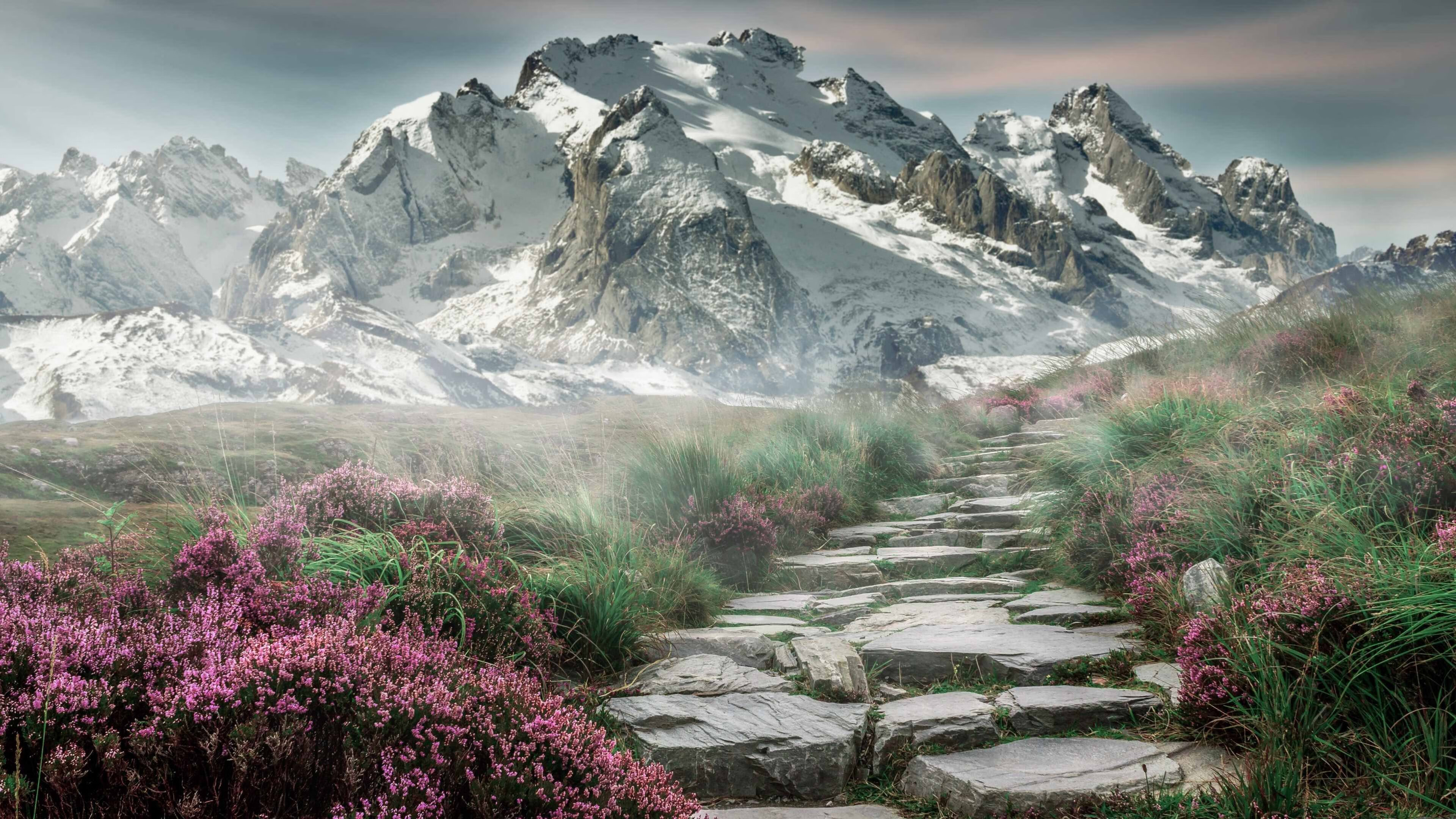 NBA球队季后赛关键策略，nba球队季后赛关键策略分析