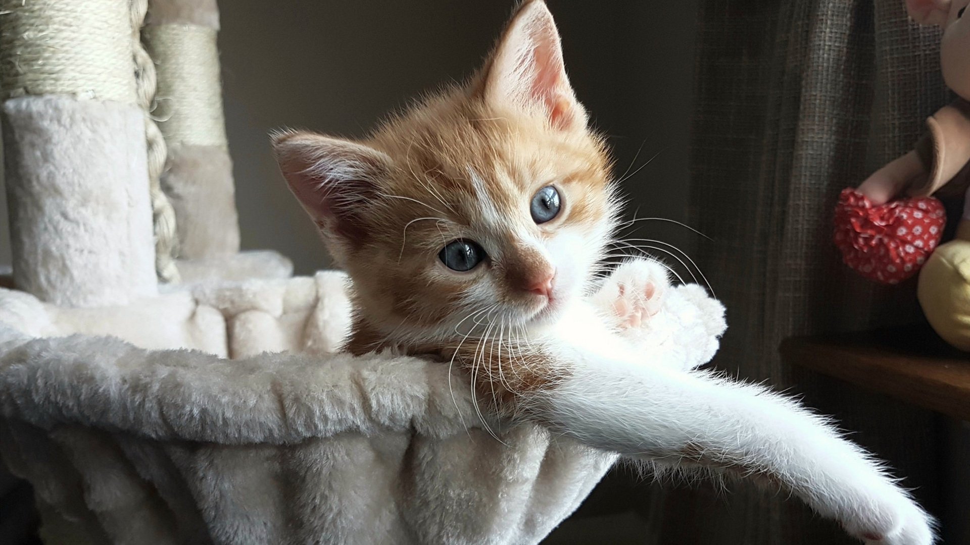 篮球专项训练课程开发及教学创新实践，篮球教学课题