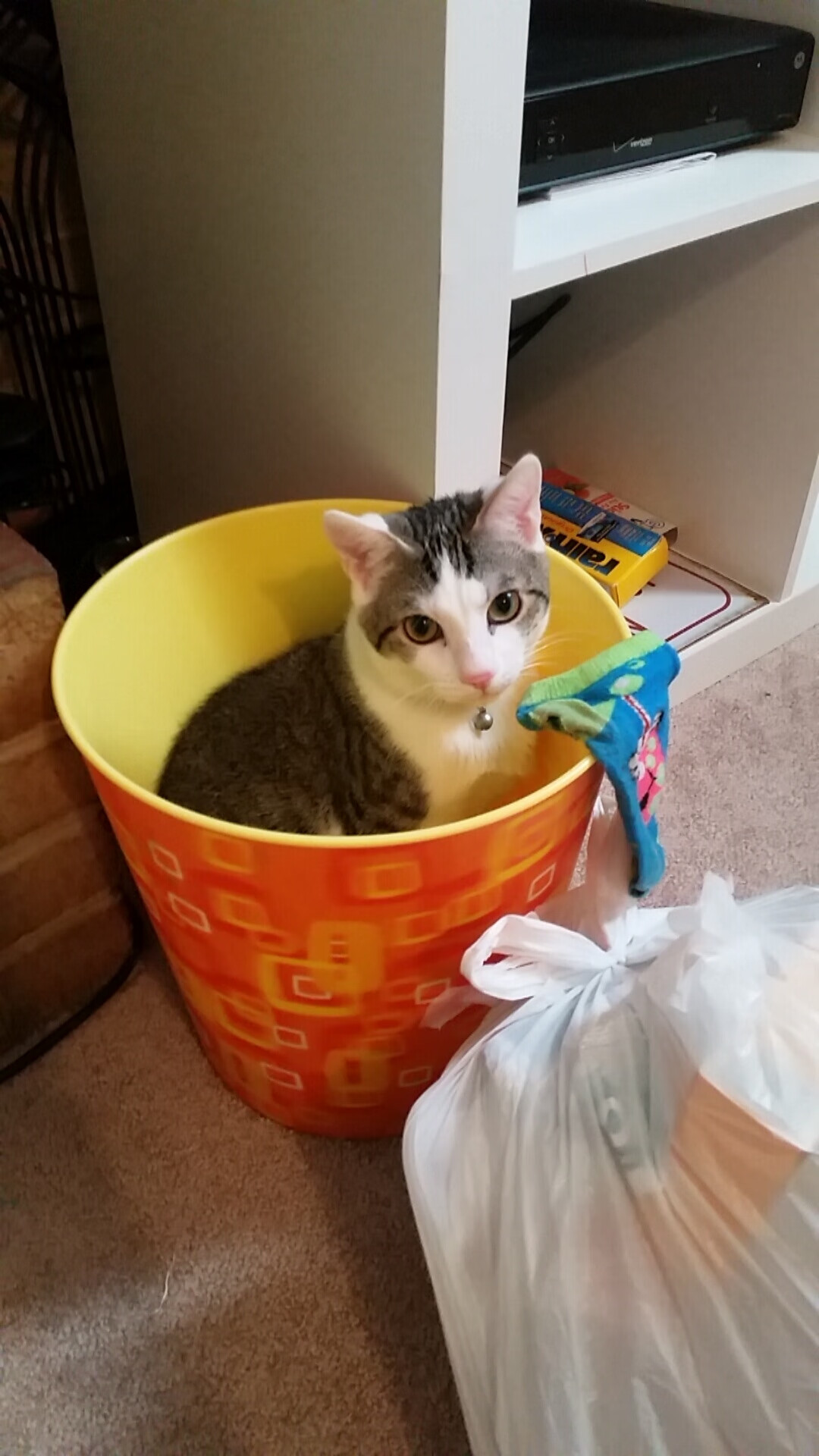 运动装备技术应用推广计划，运动装备论文