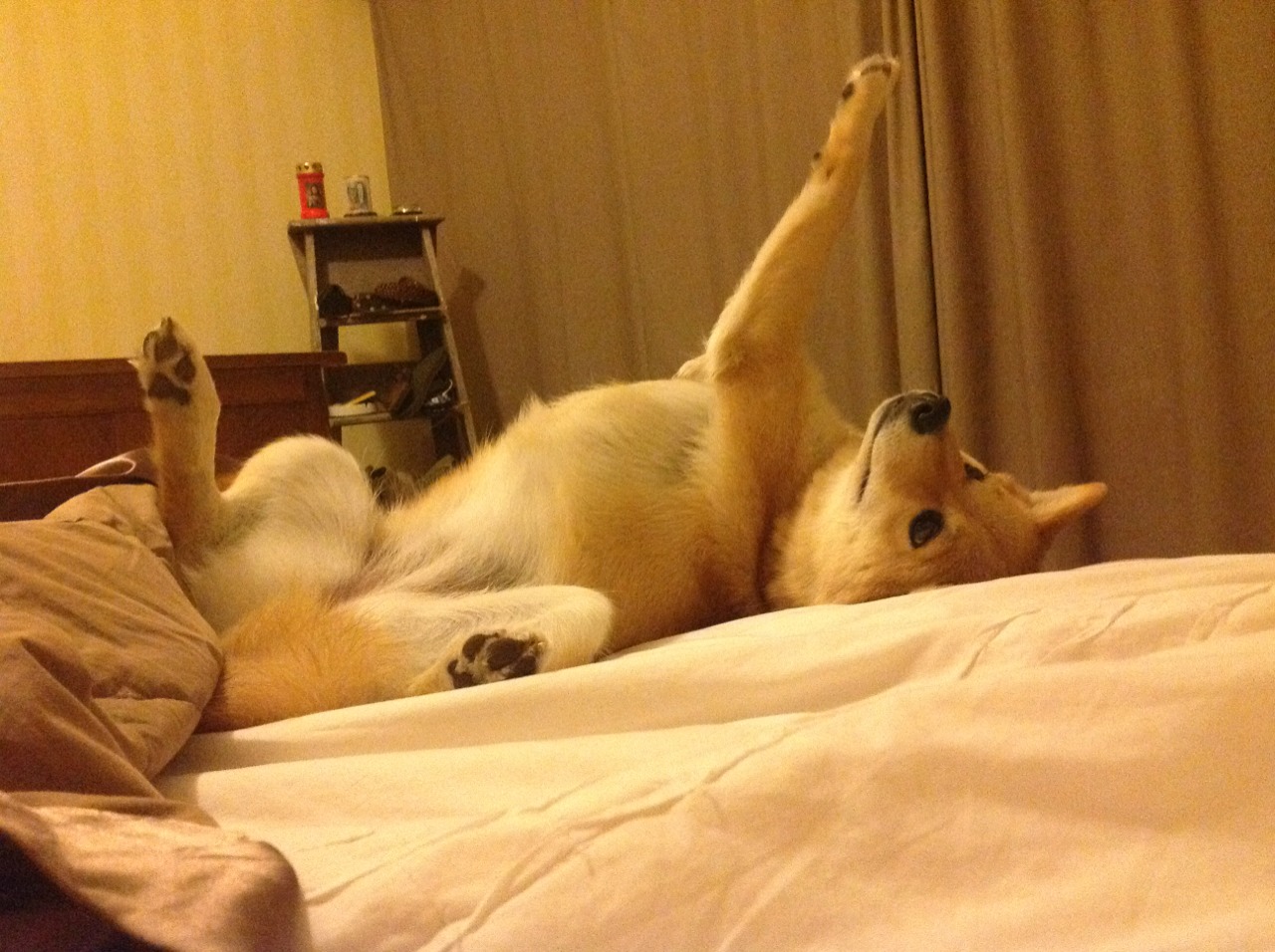 亚冠联赛中国女足战平 球迷支持球队努力，中国女足亚洲杯