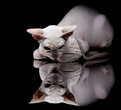 强侧逼抢引诱对方转移失误