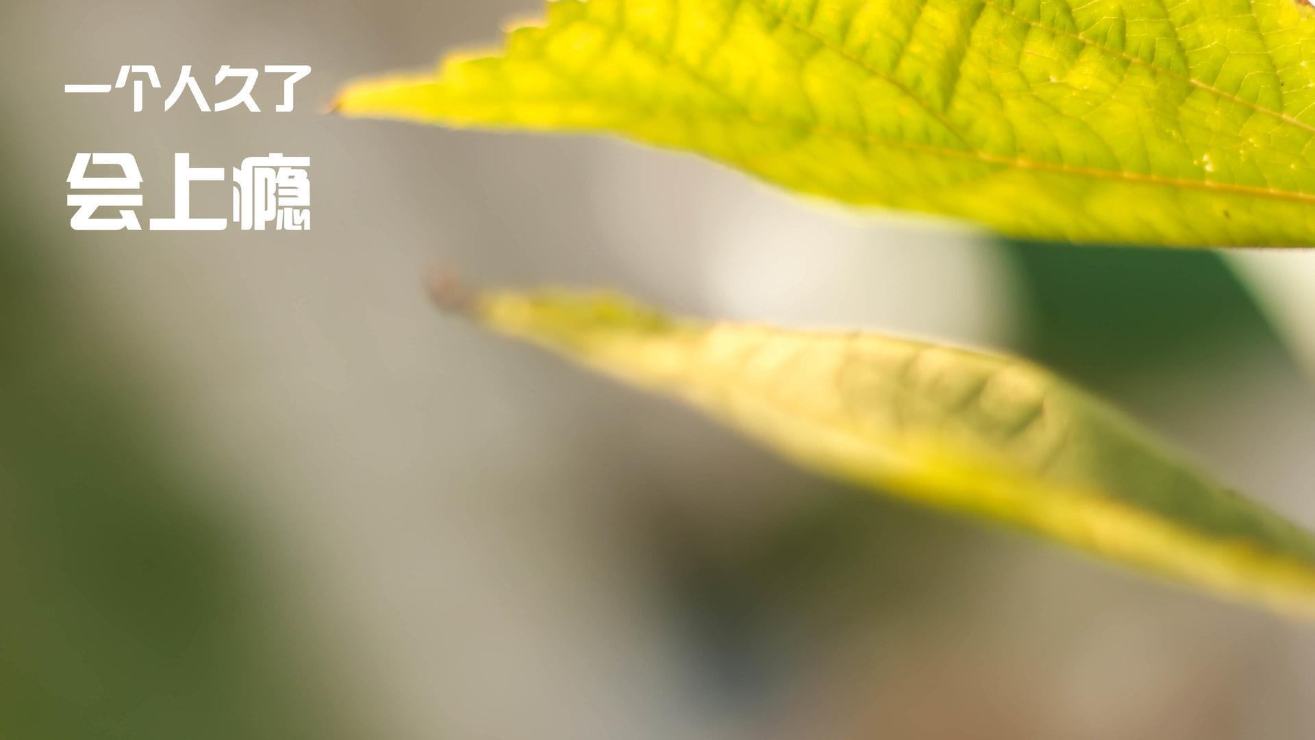 Kaiyun APP-比赛节奏与球队攻防转换速度的关系，详述什么是比赛节奏