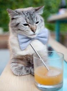 KAIYUNAPP-青训教练专业能力有待提升，青训教练培训