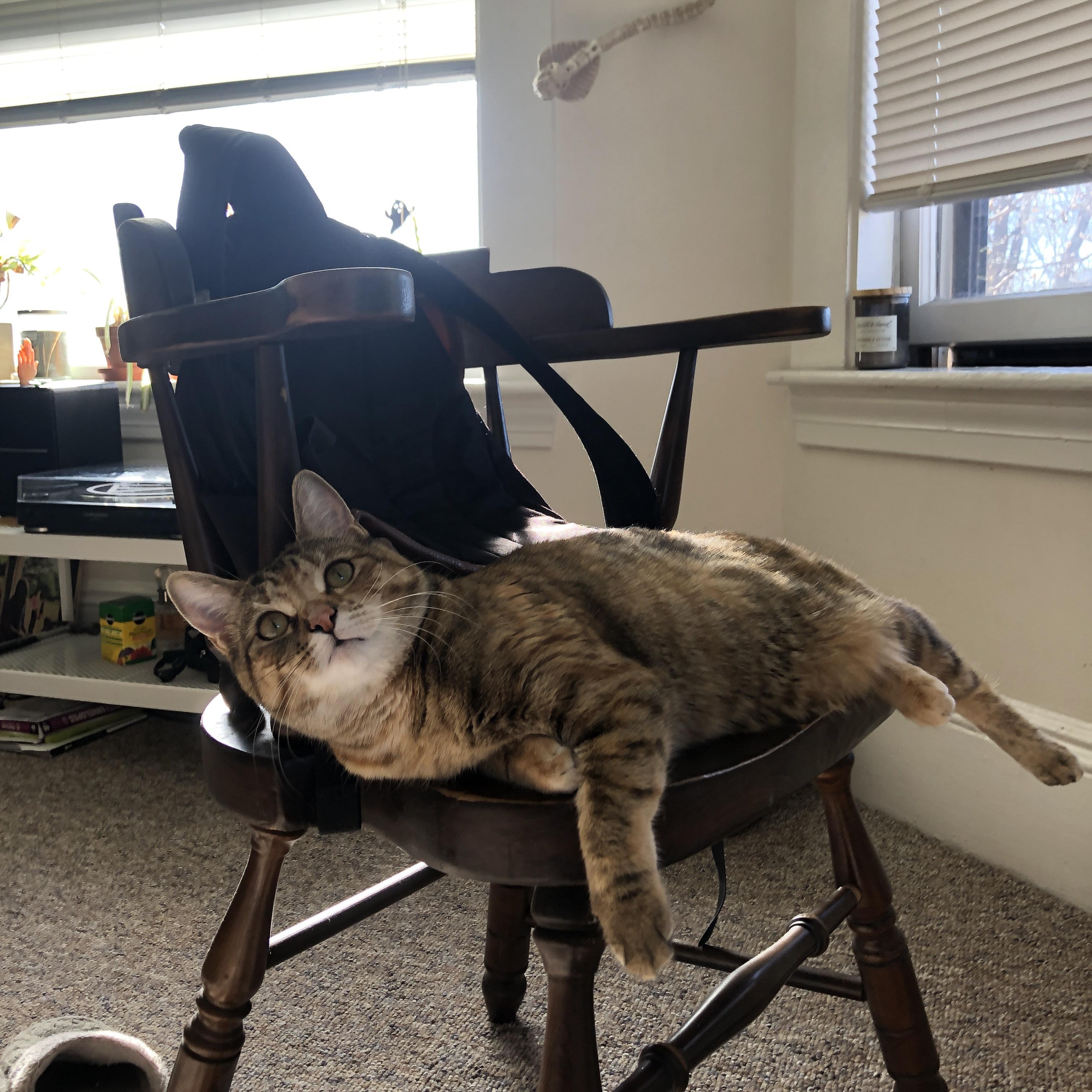 中国足球青训体系人才选拔机制科学化，中国足球青训补偿及培训费