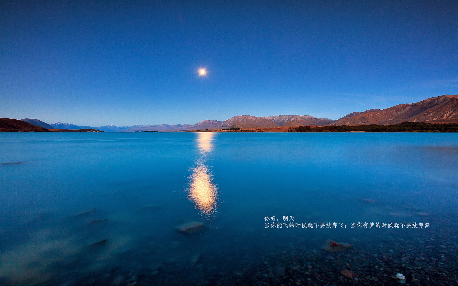 南非橄榄球赛事的全球化拓展，使其成为国际橄榄球新焦点，南非橄榄球比赛