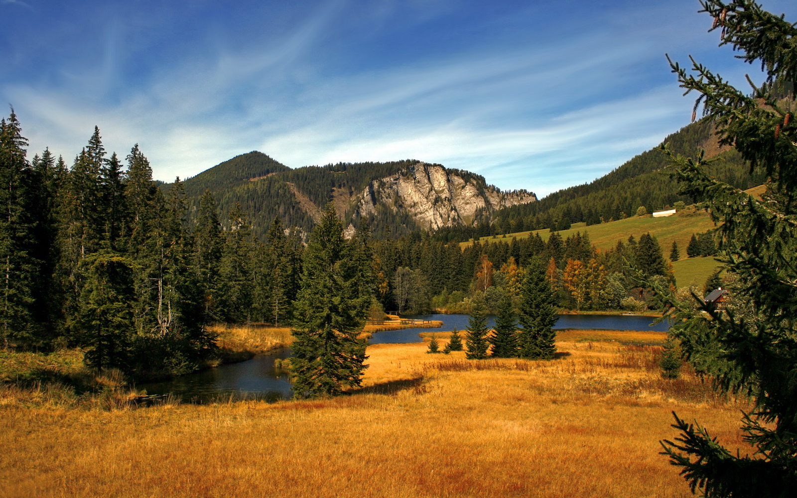 德甲天王对决:速度与战术的双重盛宴,德甲打法