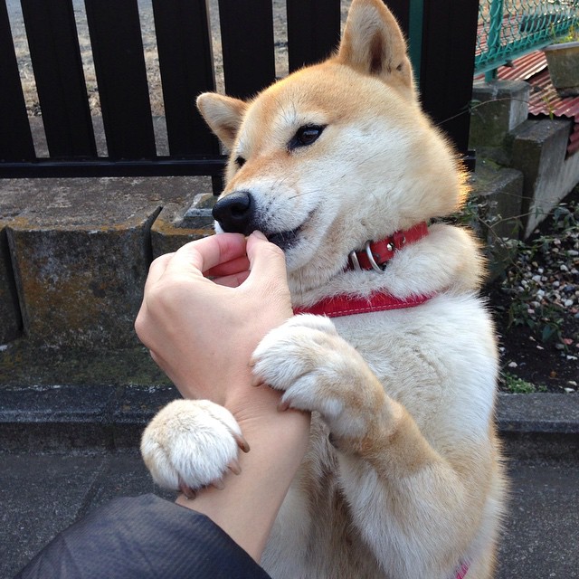 Kaiyun APP-美洲杯决战瞬间：超级巨星的关键表现，美洲杯决赛打平