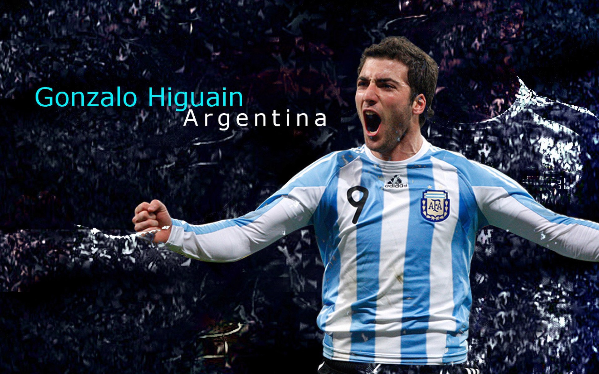 “球迷投票：你认为最伟大的NBA球员是谁？”，nba最伟大的球星是谁